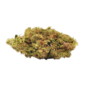 Purple berry CBD cvijet - 1g