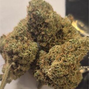 Harlequin CBD cvijet-1g