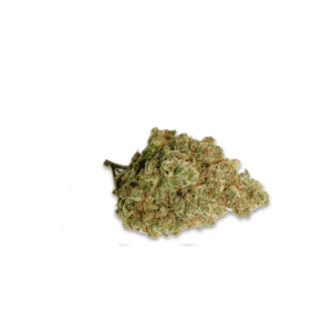 CBD Cvijet Northern Light - 1g