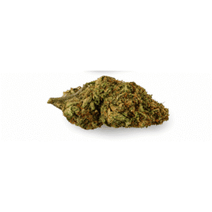 CBD Cvijet Mountblanc Hydro,1g
