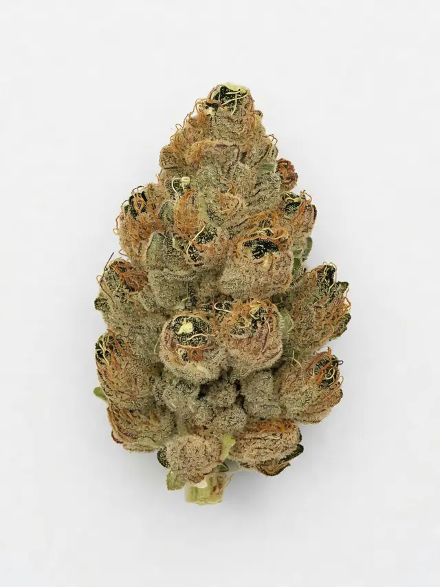 CBD Cvijet Cali OG