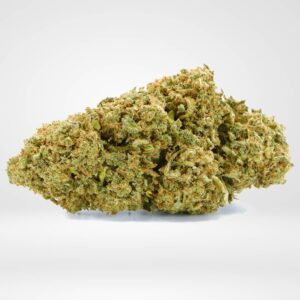 CBD Cvijet Godzilla